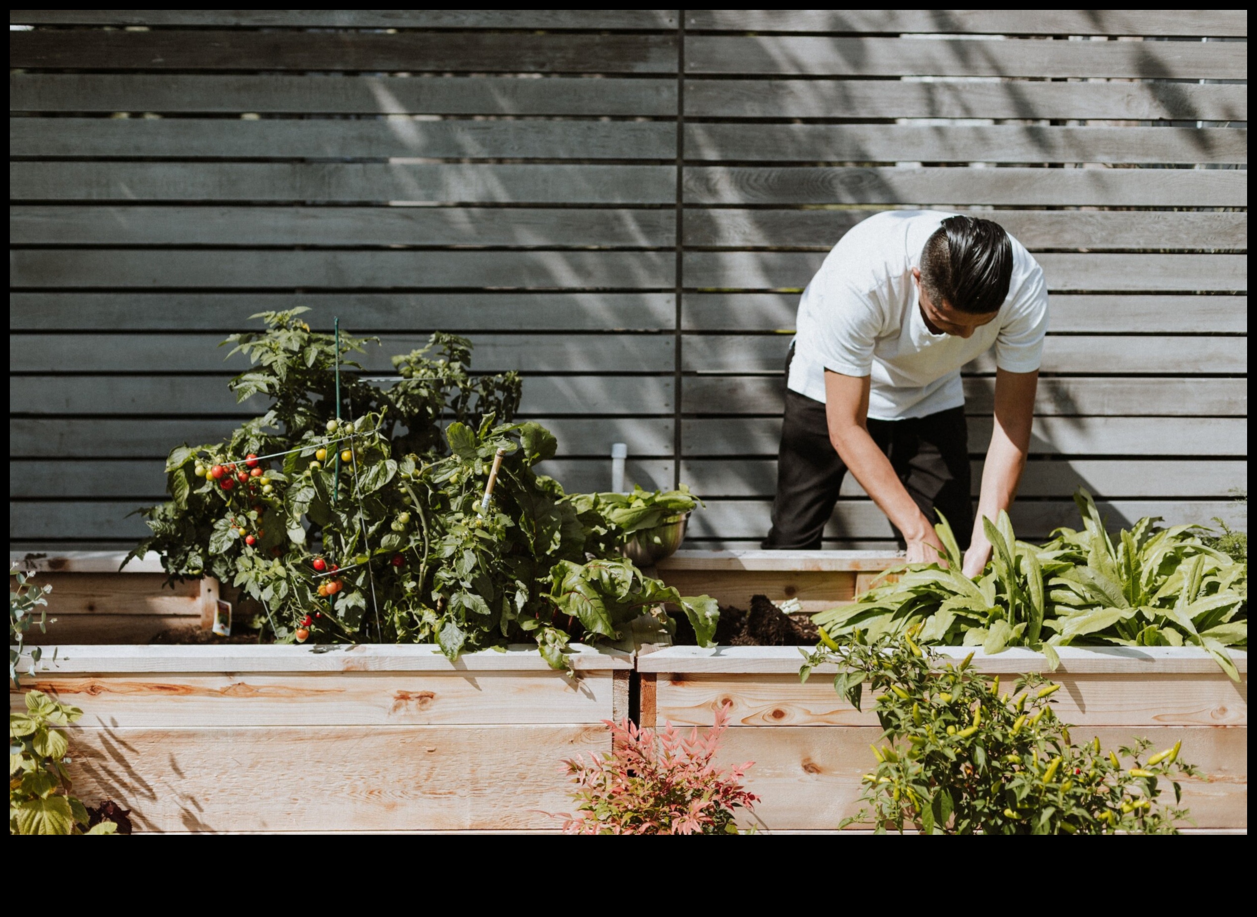 Green Thumb Chronicles: Organik Bahçelerle Doğayı Beslemek